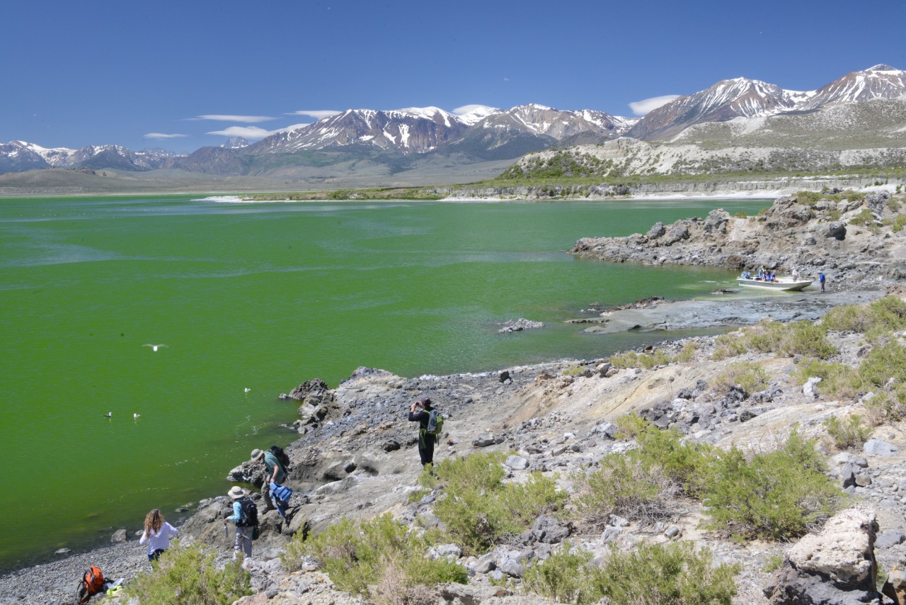 VIDEO The mystery of Mono Lake why does it turn green? Colorado